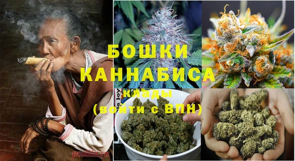 сатива Алексин