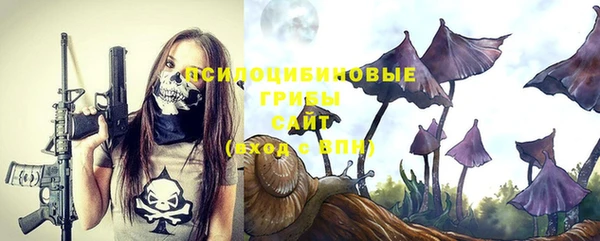 дурь Няндома