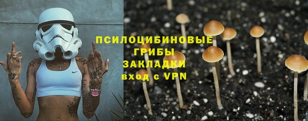 МДПВ Алзамай
