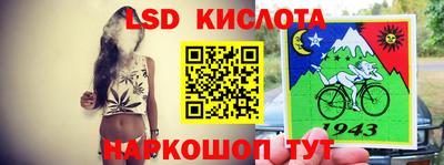 прущие грибы Михайловка