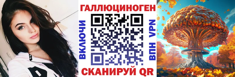 закладка  Тихвин  Псилоцибиновые грибы мицелий 