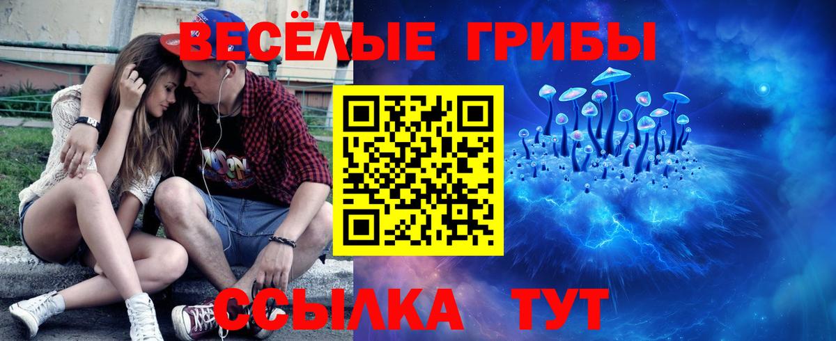 Тихвин  Псилоцибиновые грибы Magic Shrooms  Вход с VPN 